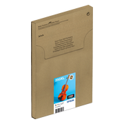 Epson 250 Combo Pack XL