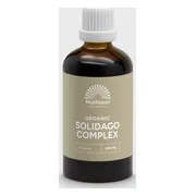 Mattisson HealthStyle Biologisch Solidago Complex Druppels 100ML