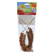 JR Farm Trosgierst Rood Parkiet & Grasparkiet 500 gr