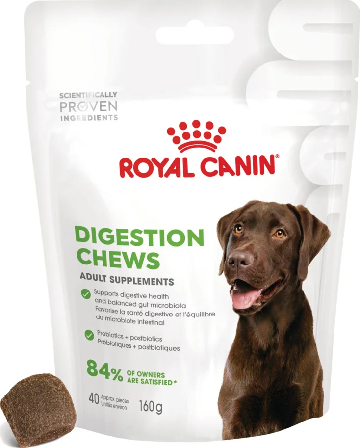 6x Royal Canin Supplement Digestion 160 gr