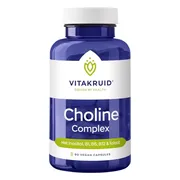 Vitakruid Choline Complex met Inositol, B1, B5, B12 & Folaat 90VCP
