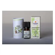 Volatile Engelwortel (Angelica Archangelica) 2,5ml