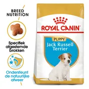 Royal Canin Jack Russell Terrier Junior - 1,5 kg - Hondenvoer