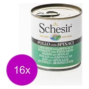 16x Schesir Hondenvoer Kip Spinazie in Gelei 285 gr