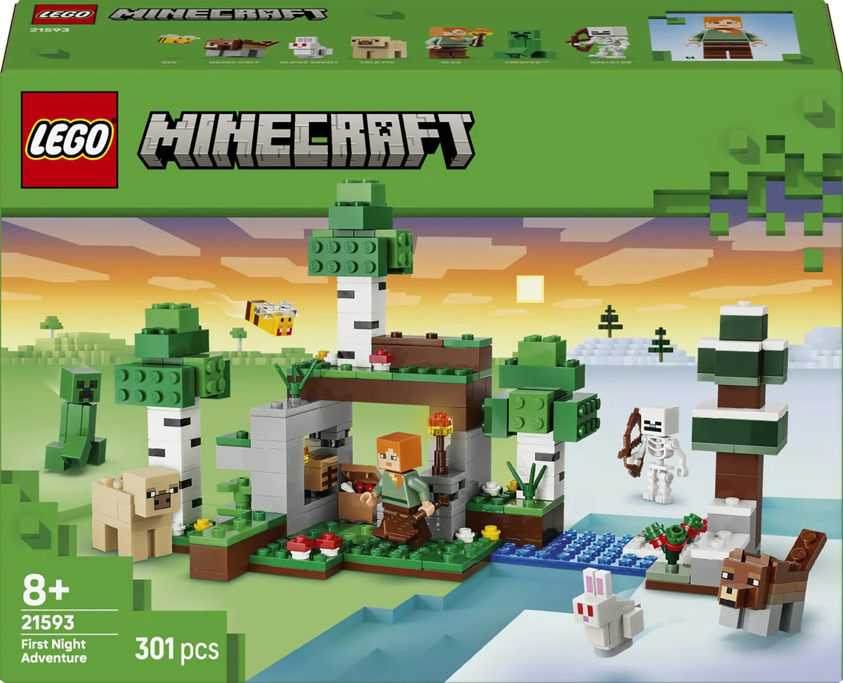 LEGO Minecraft Eerste nacht-avontuur 21593
