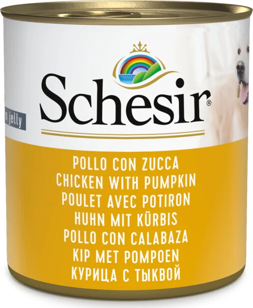 Schesir Hondenvoer Kip Pompoen in Gelei 285 gr
