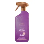 Bruynzeel Cosmetic Homecare Antikalk Schuimreiniger Fresh Wood 500ML