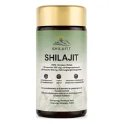 Shilafit Shilajit 500mg Capsules 60CP