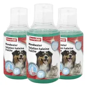 3x Beaphar Mondwater voor Hond & Kat 250 ml