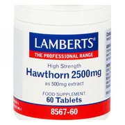 Lamberts Crataegus 2500mg Tabletten 60TB