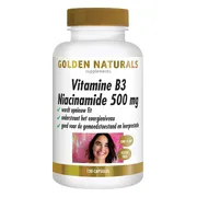Golden Naturals Vitamine B3 Niacinamide 500 mg 120 capsules