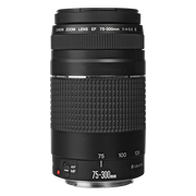 Canon EF 75-300mm f/4.0-5.6