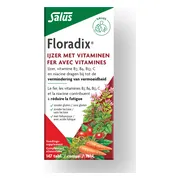 Salus Floradix IJzer Tabletten 147TB