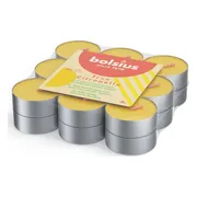 Bolsius Theelichten Citronella 4 branduren