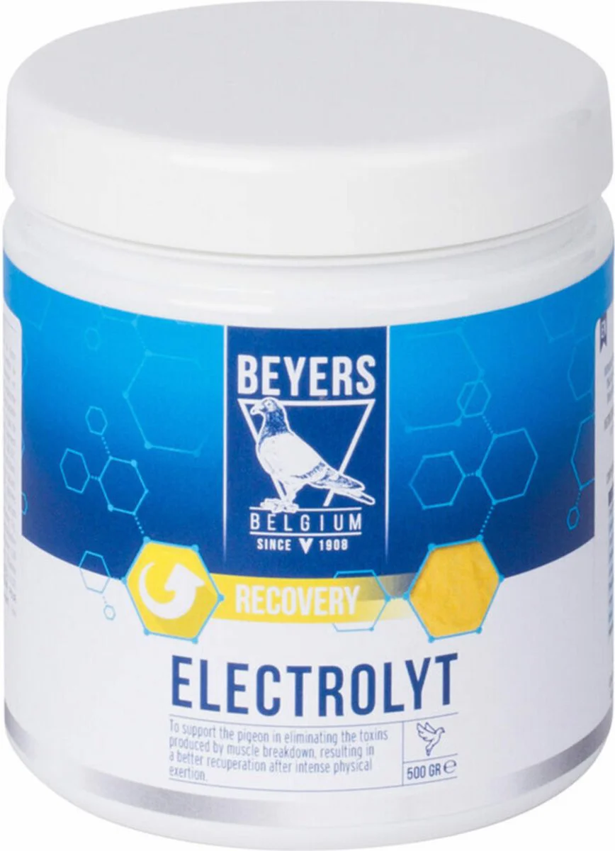 Beyers Elektrolyt 500 gr