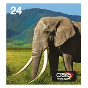 Epson 24 Cartridges Combo Pack