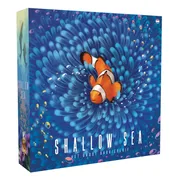 Shallow Sea