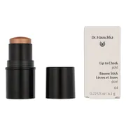 Dr. Hauschka Lip to Cheek Gold 04 6.1GR