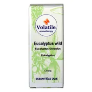 Volatile Eucalyptus Wild 50ML