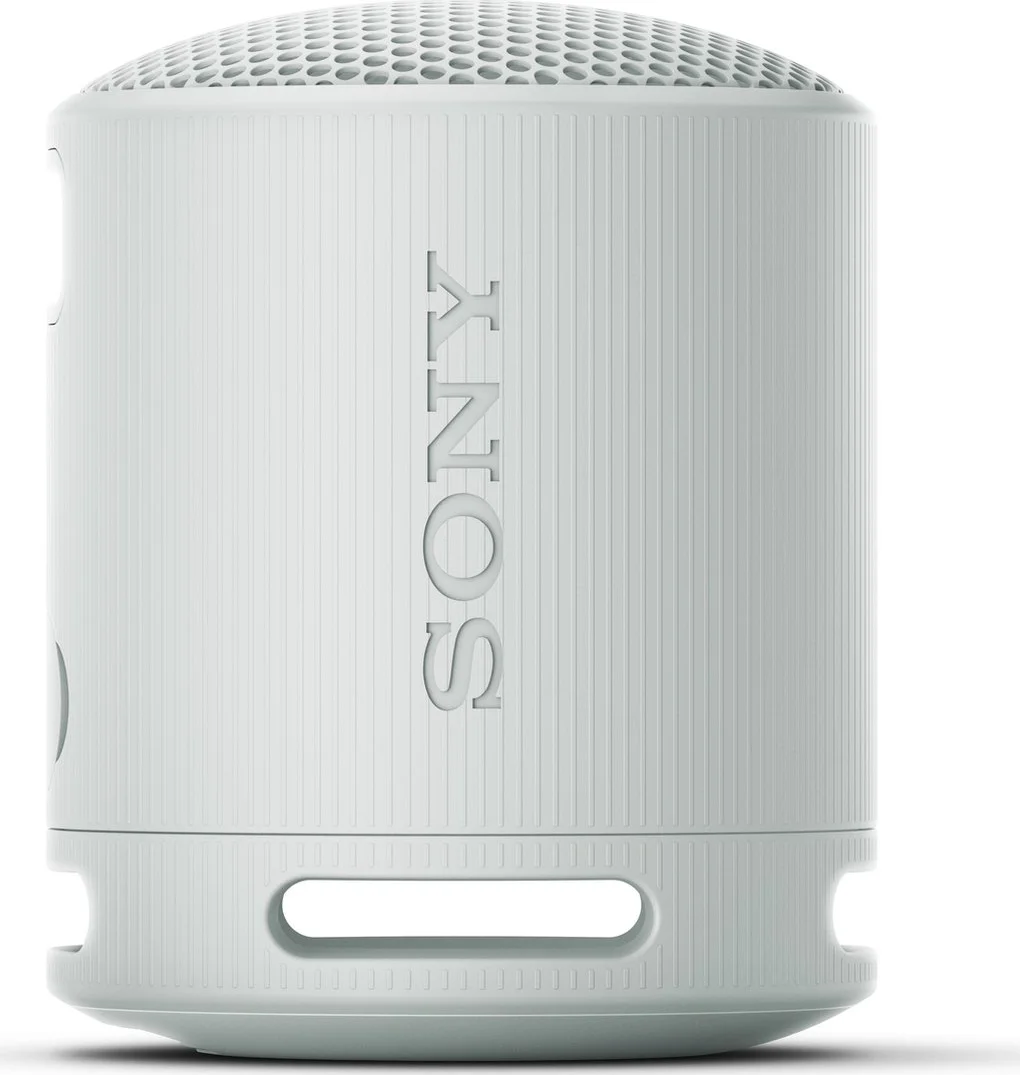 Sony SRS-XB100 Grijs