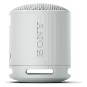 Sony SRS-XB100 Grijs