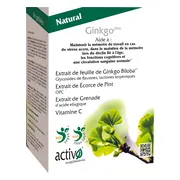 Activo Ginkgo Plus Capsules 60CP