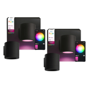 Philips Hue Muscari Muurspot Buiten Duo Pack