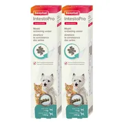 2x Beaphar IntestoPro Pasta Kat - Hond tot 15 kg 20 ml