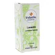 Volatile Lavandin 10ML