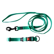 Karlie Halsband met lijn (Mint)