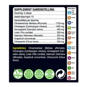 6x Lucovitaal Thee Hennep CBD 20 stuks