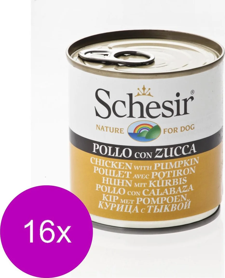 16x Schesir Hondenvoer Kip Pompoen in Gelei 285 gr