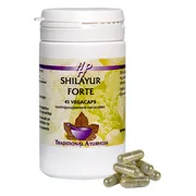 Holisan Shilayur Forte Capsules 45CP