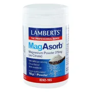 Lamberts MagAsorb 375mg Poeder 165GR