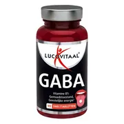 Lucovitaal Gaba 90 smelttabletten