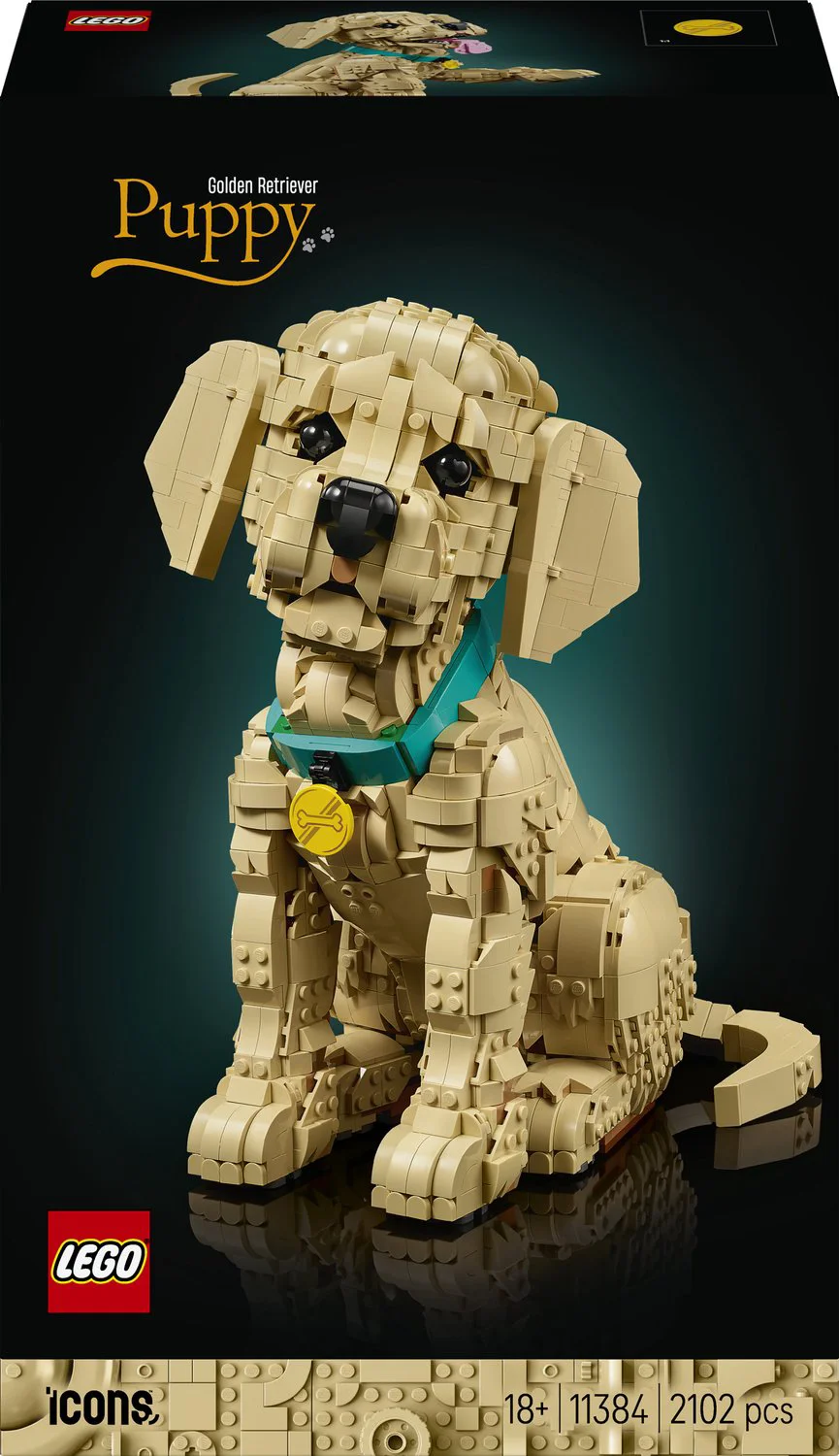 LEGO Icons Golden retriever puppy 11384