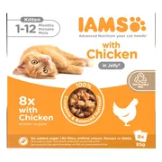 IAMS Delights Kitten Jelly Multipack Kip 8 x 85 gr