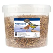 Deli Nature Greenline Meelwormen 700 gr