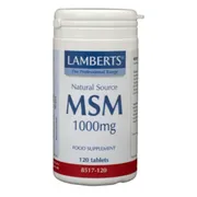 Lamberts MSM 1000mg Tabletten 120TB