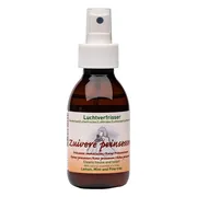 Verillis Luchtverfrisser Zuivere Prinsessen 110ML