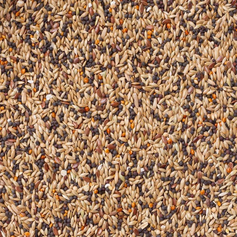 Deli Nature Winter Rust Vinken Nummer 95 20 kg
