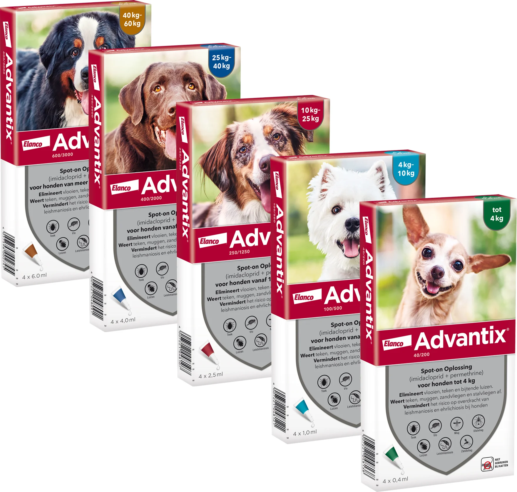 Bayer Advantix Vlooien & Teken Pipetten - Hond 40+ kg - 6 stuks