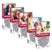 Bayer Advantix Vlooien & Teken Pipetten - Hond 40+ kg - 6 stuks