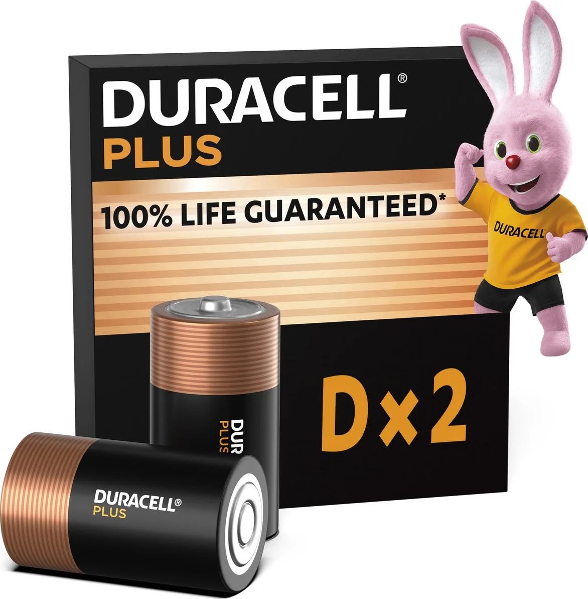 Duracell Alkaline Batterijen Plus 100 D 2 stuks