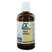 GO Gemmo Oplossingen Ribes Nigrum Bio Tinctuur 100ML