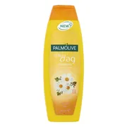 Palmolive Shampoo Elke Dag 350ML