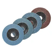 PARKSIDE Haakse slijper accessoires (Lamellenschijvenset)