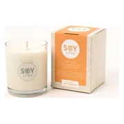 Soylites Soycandle Entice - Ginger, Cinnamon, Grapefruit, Sweet Orange & Pepper 220ML