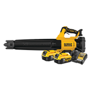 DeWalt DCMBL562N-XJ 5,0 Ah Accu (2x) Starterspakket